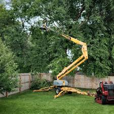 Best Tree Preservation Services  in Makawao, HI